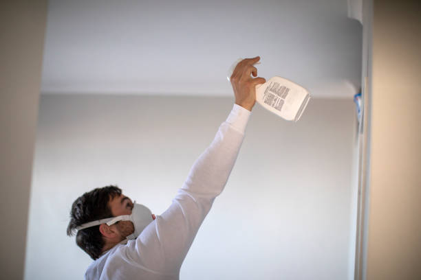Certified Mold Removal in Shingle Springs, CA