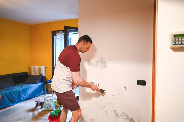 Best Mold Remediation Experts  in Shingle Springs, CA